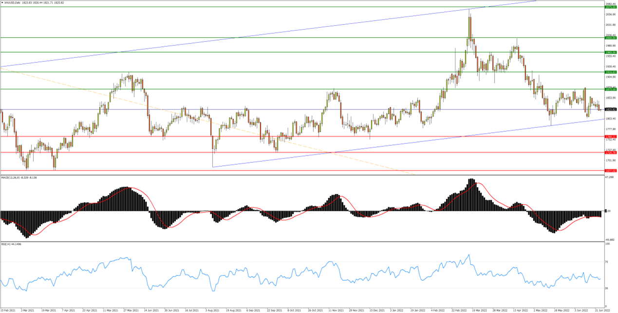 黄金/美元日线图